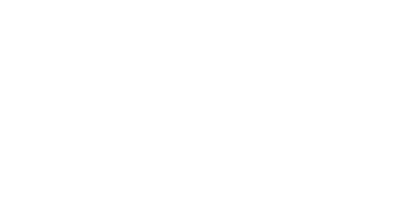 Logo Styks Walczak